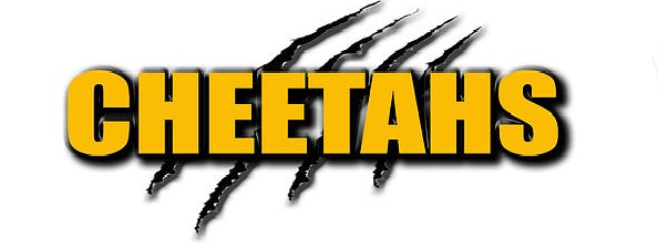 Image for Cheetahs Gentlemen's Club with ID of: 1000082