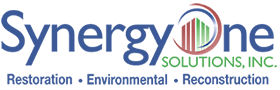 Image for SynergyOne Solutions, Inc. with ID of: 1000450