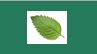 Image for Mint Dental Care with ID of: 1000993