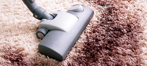 Image for Good & Clean with ID of: 1003083