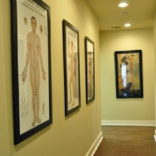 Image for Absolute Holistic Medicine with ID of: 1004737
