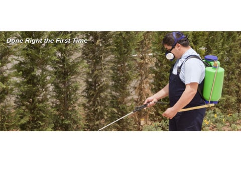 Image for MVP Pest Control with ID of: 1004762