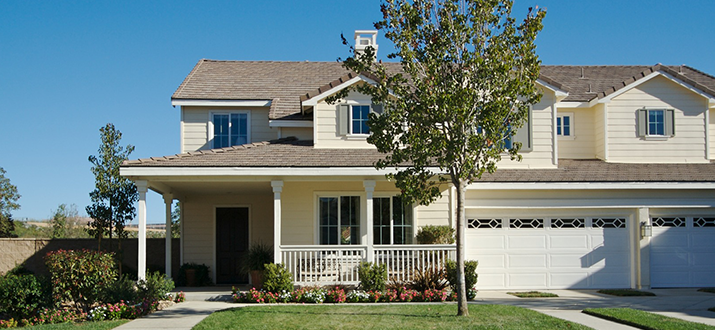 Image for B & D Pest Solutions with ID of: 1004881