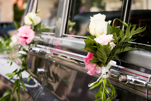 Image for San Mateo Limo Services & Rental with ID of: 1006386