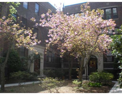 Image for Christine McCarron, Boston Realtor with ID of: 1006403