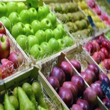 Image for Boca Wellness & Nutrition Services with ID of: 1006627