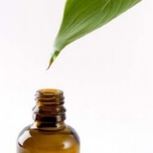 Image for Chaparral Naturopathic Medicine with ID of: 1006680