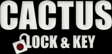 Image for Cactus Lock and Key with ID of: 1006922