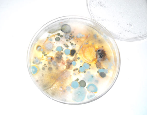 Image for Preferred Environmental Solutions, Inc with ID of: 1007471