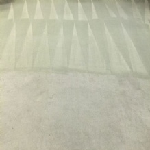 Image for Andersen's Carpet & Upholstery Cleaning with ID of: 1007971
