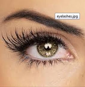 Image for Wax it! Wax and Lash Studio with ID of: 1008808