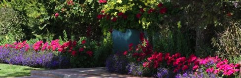Image for ABC Scapes Inc. with ID of: 1012480