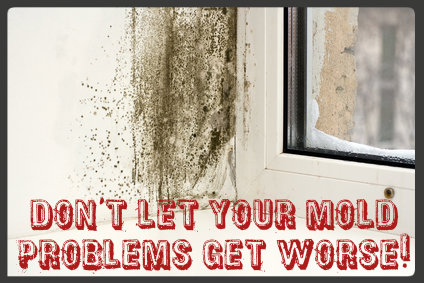 Image for Mold Remediation Pros - Seattle with ID of: 1013827