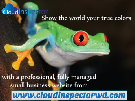 Image for Cloud Inspector Web Design with ID of: 1015301