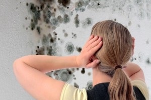 Image for Emergency Home Solutions of Orange County with ID of: 1015735