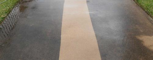 Image for Alpha Dog Carpet Cleaning with ID of: 1015810