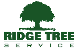 Image for Ridge Tree Service with ID of: 1017730