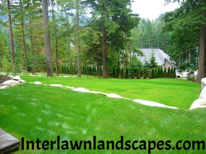Image for Interlawn Landscapes with ID of: 1018154