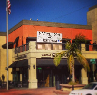 Image for Native Son Alehouse with ID of: 1018978