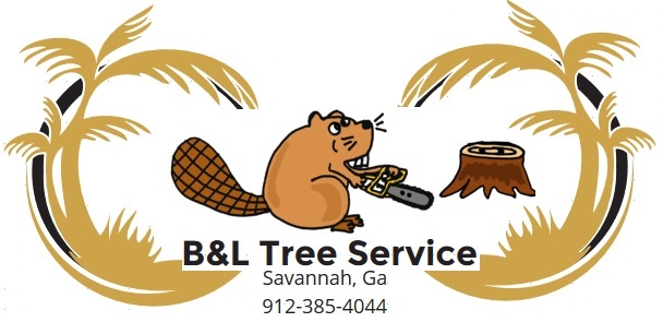 Image for Savannah Tree Service by B&L with ID of: 1024600