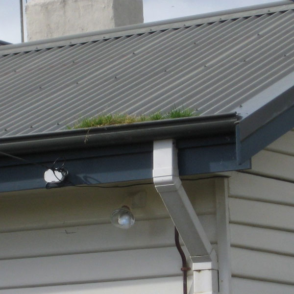 Image for Fair N Fast Gutter Cleaning with ID of: 1024844