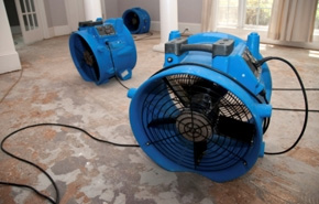Image for Restor-it Inc with ID of: 1025058
