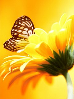 Image for Hundred Two Medical with ID of: 1026071