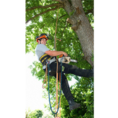 Image for Natural Systems LLC with ID of: 1027975