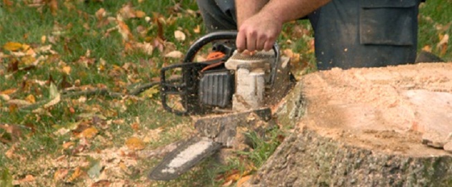Image for Natural Systems LLC with ID of: 1027980