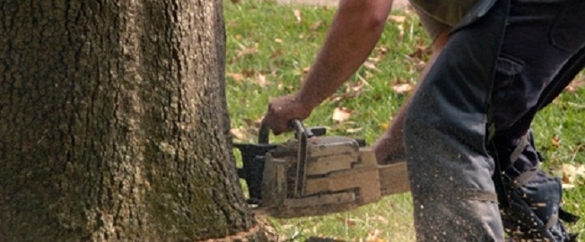 Image for Natural Systems LLC with ID of: 1027981