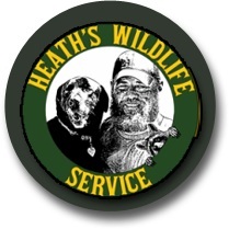 Image for Heath's Wildlife Service with ID of: 1028389