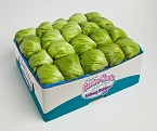 Image for Boggiatto Produce, Inc. with ID of: 1029449