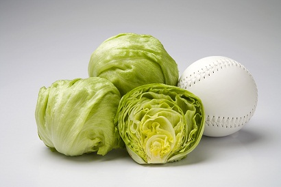 Image for Boggiatto Produce, Inc. with ID of: 1029450