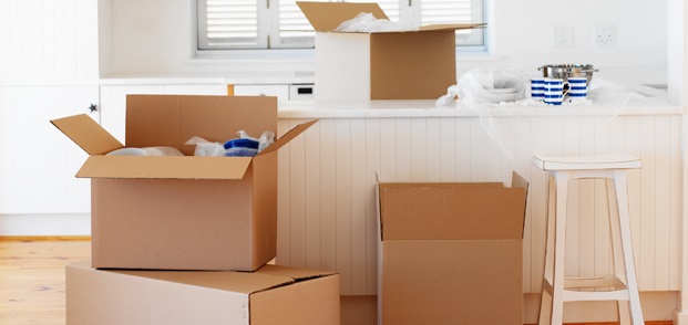 Image for Rising Star Movers with ID of: 1030794