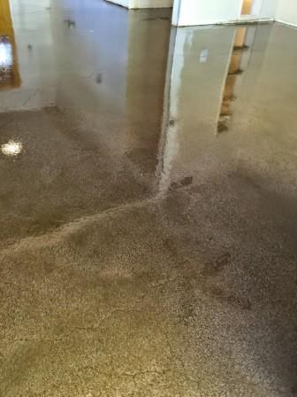 Image for Barefoot Surfaces Concrete Floor Coatings with ID of: 1031401