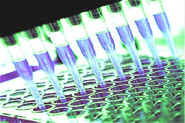 Image for Human Interleukin 10, IL10 ELISA Kit with ID of: 1031884