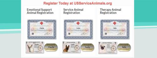 Image for US Service Animals with ID of: 1031897