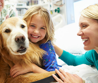 Image for US Service Animals with ID of: 1031898