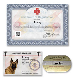 Image for US Service Animals with ID of: 1031899