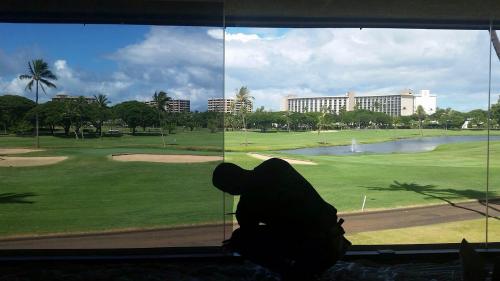 Image for Tint Masters Maui with ID of: 1032096