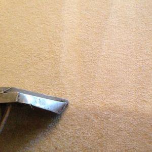 Image for Show Me Carpet Cleaning with ID of: 1034646