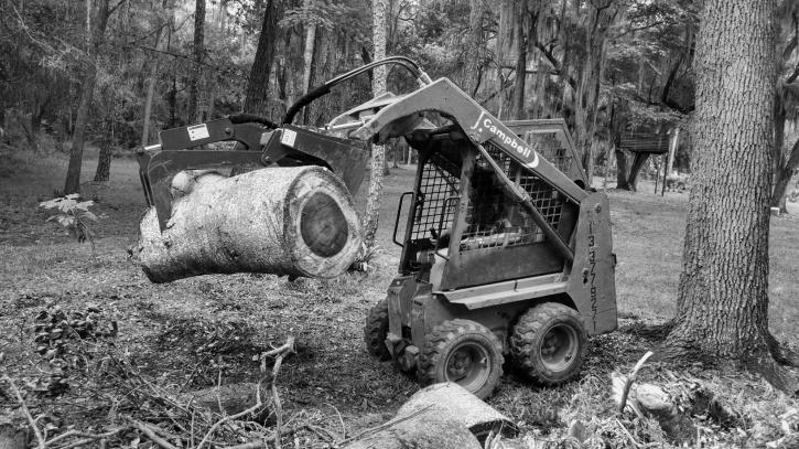Image for Florida Green Lawn & Tree Service with ID of: 1035642