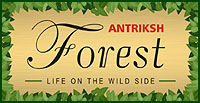Image for Antariksh Forest with ID of: 1035708