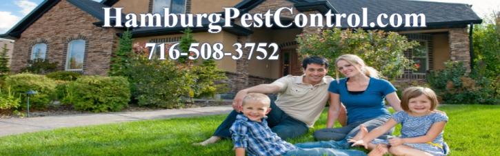 Image for Hamburg Pest Control with ID of: 1035787