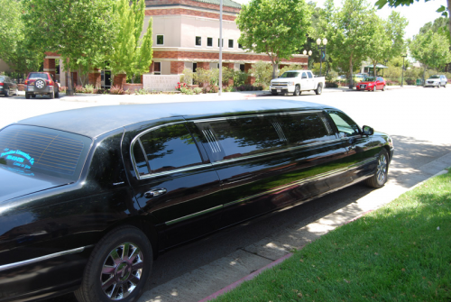 Image for Paradise Limousine Co. with ID of: 1037633