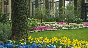 Image for Plant Professionals with ID of: 1041973