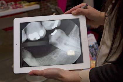 Image for VIP Dental Lounge with ID of: 1042238