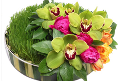 Image for Blooming Flowers with ID of: 1042679
