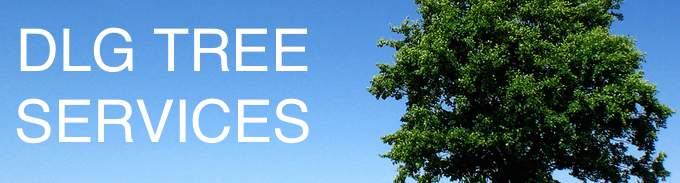 Image for DLG Tree Services with ID of: 1045829