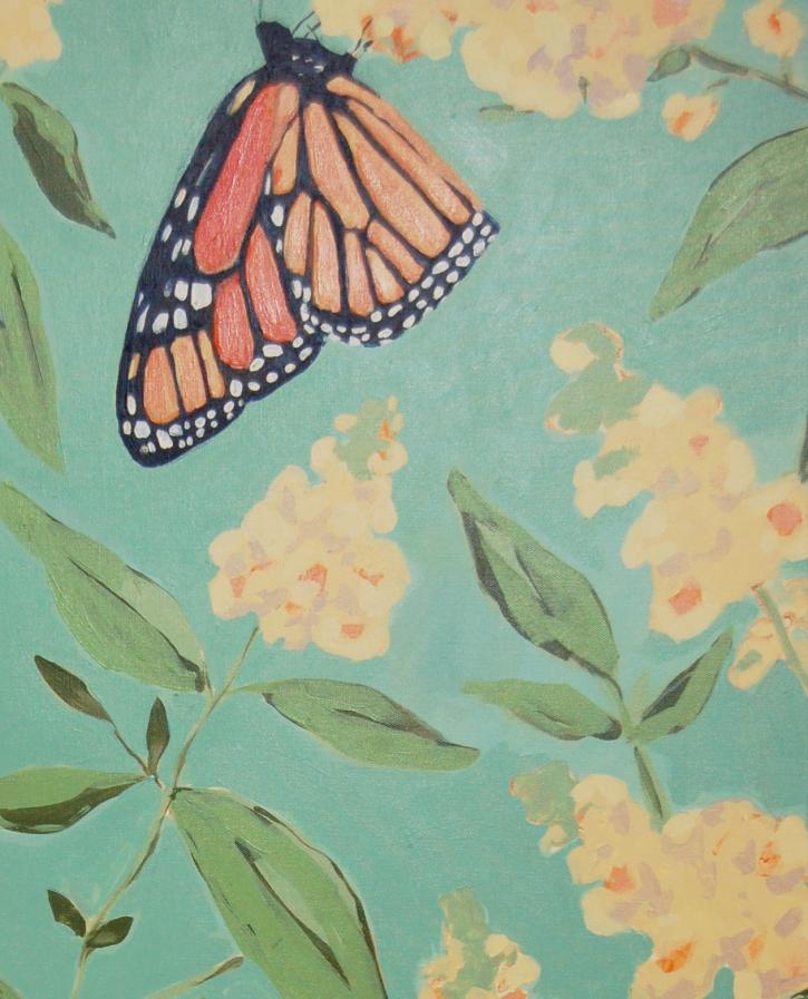 Image for GALLERY NIGHT: ANNE HAMMES BUTTERFLY STUDIES with ID of: 1046588
